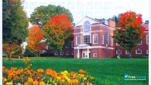 Western New England University photo