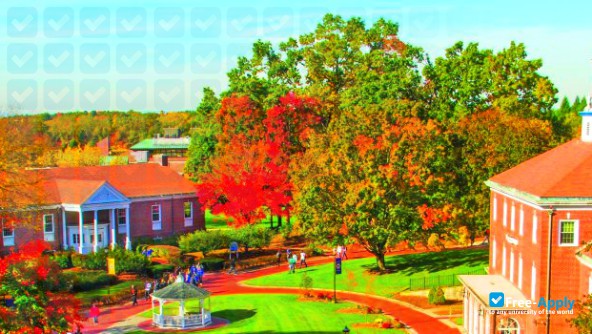 Western New England University photo