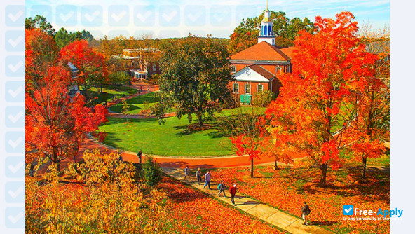 Western New England University фотография №5