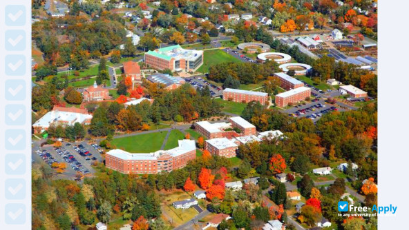 Western New England University photo #6