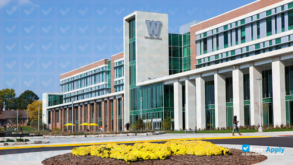 Western Michigan University фотография №3