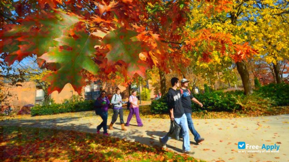Youngstown State University photo #1