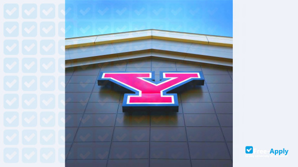 Foto de la Youngstown State University #11