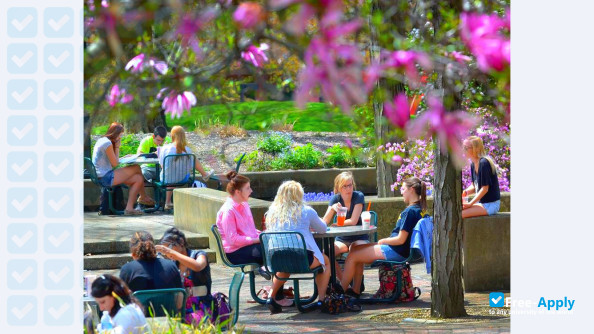 Foto de la Youngstown State University #5