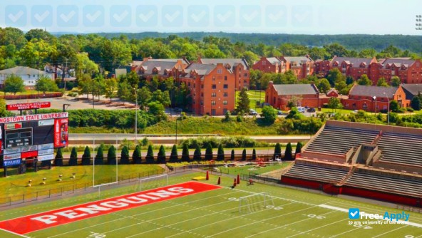 Foto de la Youngstown State University #7