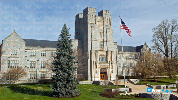 Virginia Polytechnic Institute and State University фотография №10