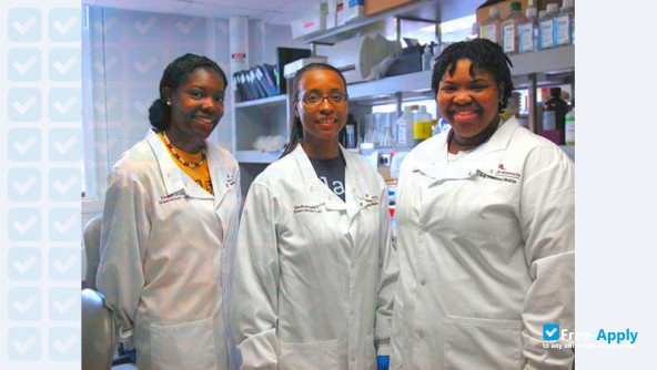 Virginia Union University photo #7