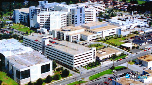 Photo de l’University of Florida Health Jacksonville #8