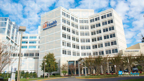 University of Florida Health Jacksonville фотография №4