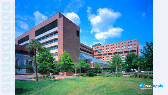 University of Florida Health Jacksonville фотография №11