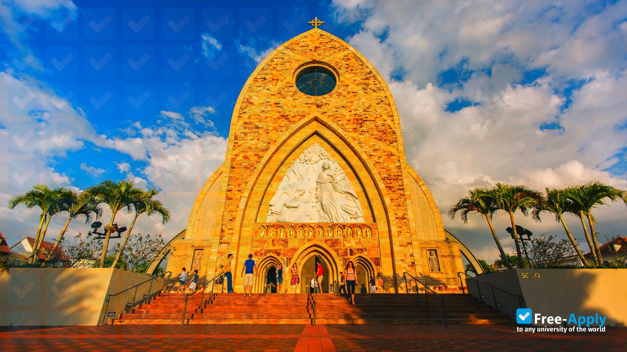 Foto de la Ave Maria University #11