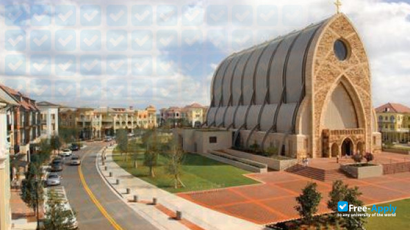 Foto de la Ave Maria University #5