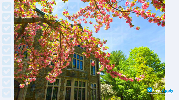 Bard College photo #7