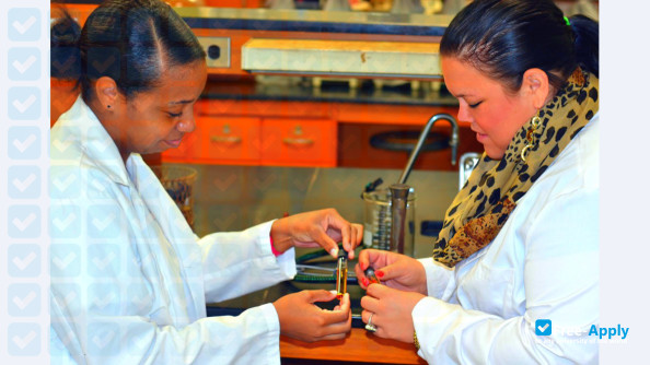 Coahoma Community College photo #13