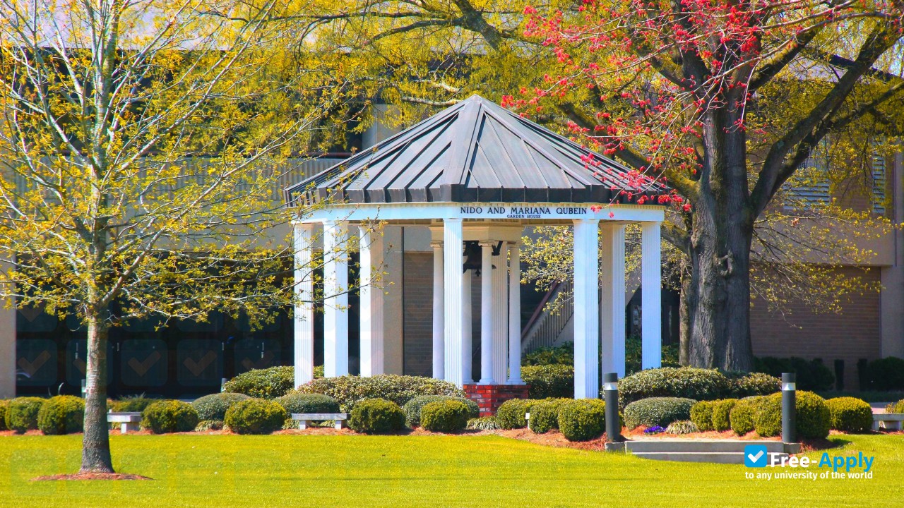 University of Mount Olive фотография №5