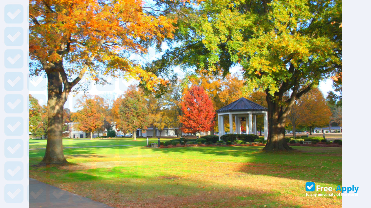 University of Mount Olive фотография №6