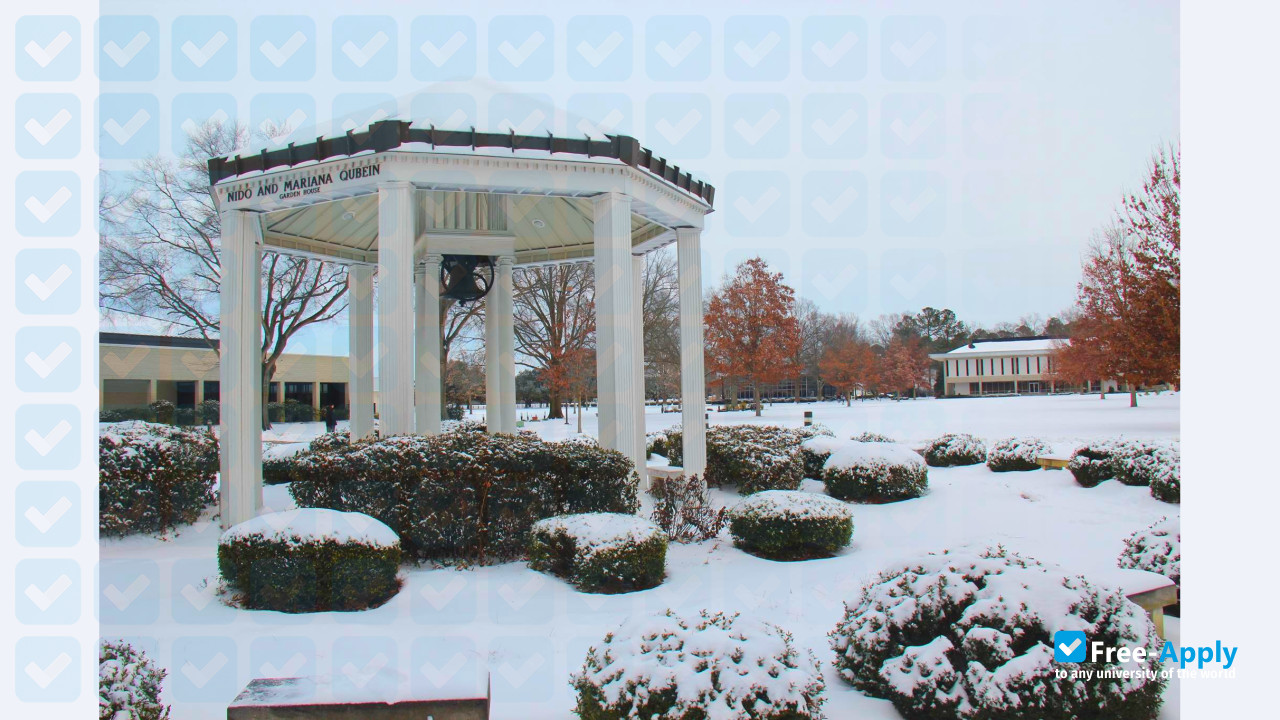 University of Mount Olive фотография №8