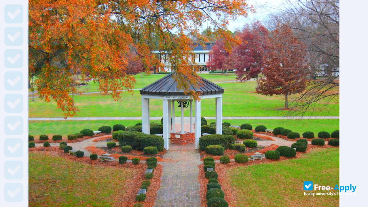 University of Mount Olive фотография №10
