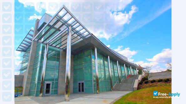 Cecil College photo #6