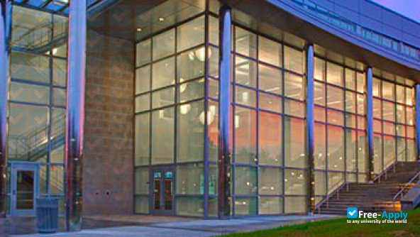 Cecil College photo #8