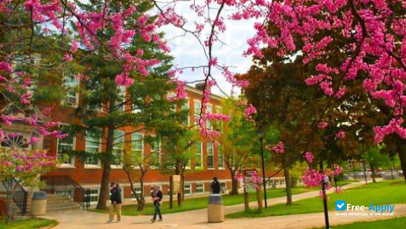 Buffalo State SUNY photo #9