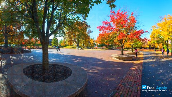 East St Louis Community College Center photo #7