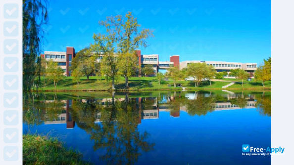 East St Louis Community College Center photo #6