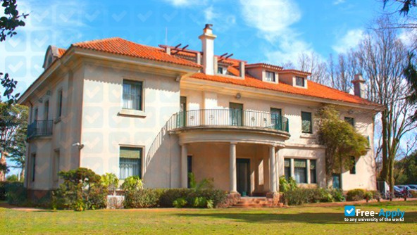 Foto de la University of Montevideo #6