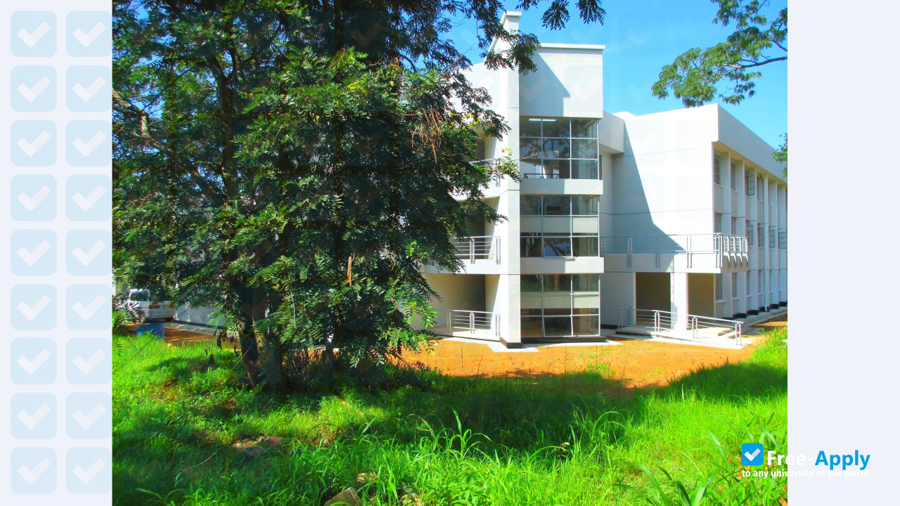 Mulungushi University photo #13