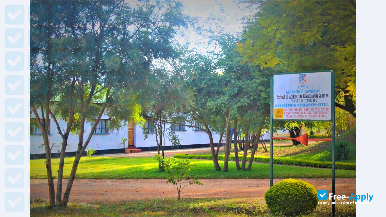 Mulungushi University photo #6