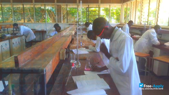 Mulungushi University photo #12