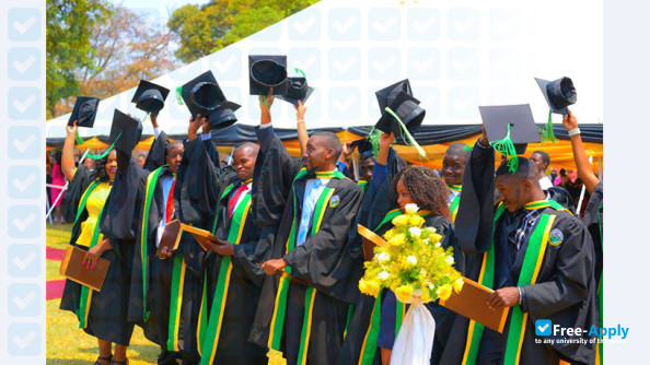 Zambia Catholic University photo #2